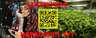 таблы Славгород